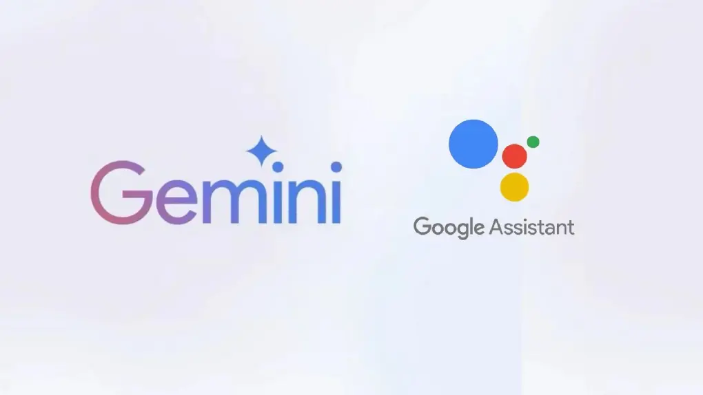 Photo: Google