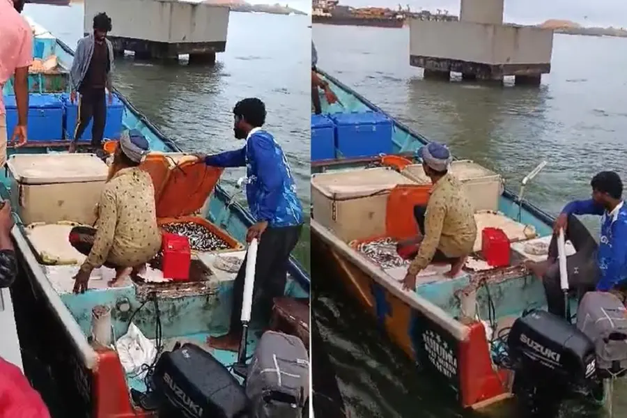 ട്രോളിങ് നിരോധനം ലംഘിച്ച് മീൻപിടിത്തം; ഫിഷറീസ് എൻഫോഴ്സ്മെന്റ് സ്ക്വാഡ് വള്ളങ്ങൾ പിടികൂടി