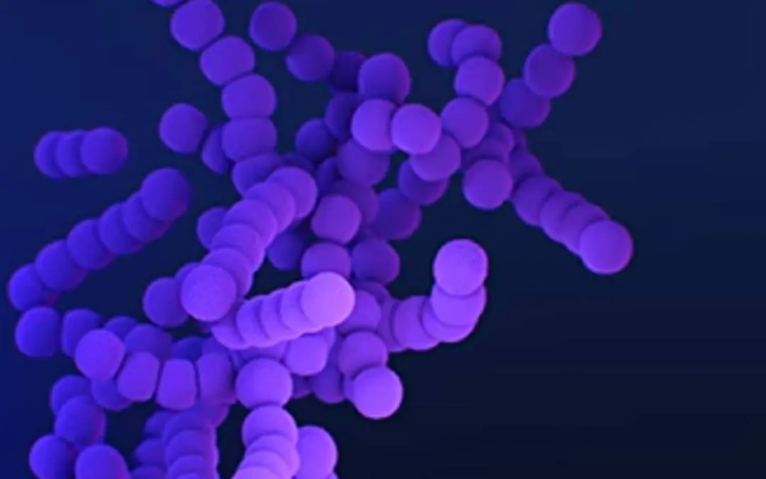 Representative Image| Photo: cdc.gov/group-a-strep/hcp/index