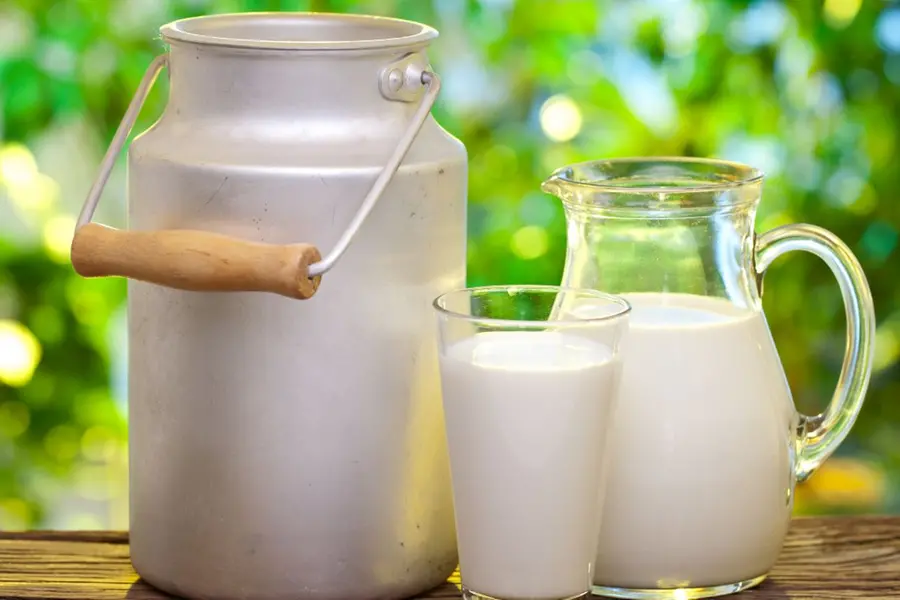 പാലിന്റെ പ്രൗഢി കശ്മീര്‍ മുതല്‍ കേരളം വരെ; പരിചയപ്പെടാം ഈ അഞ്ച് പാനീയങ്ങള്‍