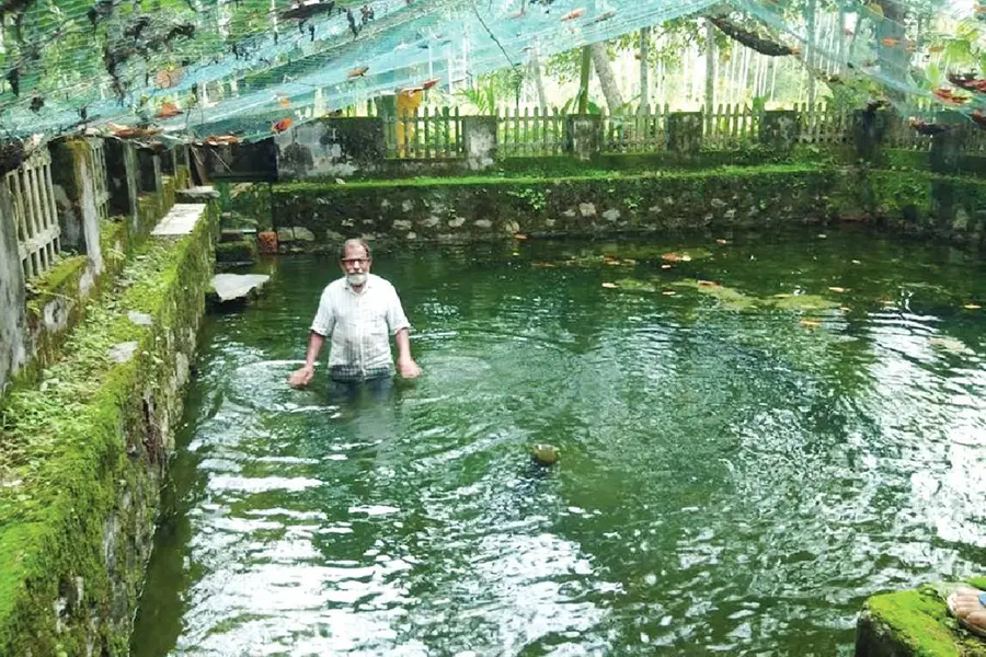 സമ്മിശ്രകൃഷിയില്‍ മികച്ച വിളവുമായി റിട്ട. അധ്യാപകന്‍