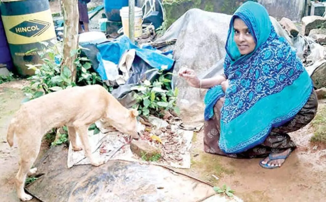 Naseera feeding the stray dog she rescued in Pinangode