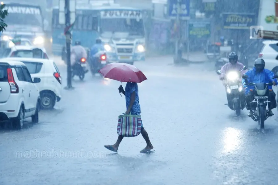 Rain alert: Kerala to get light to heavy showers till Saturday; yellow alert for 11 districts