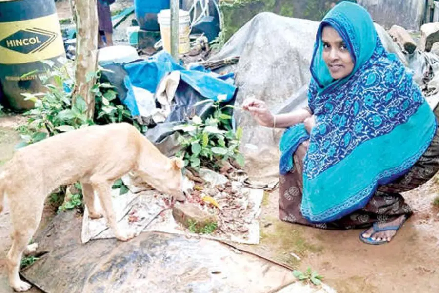 ജീവന്‍ കാത്തതിന്റെ നന്ദി; നസീറയെയും നാട്ടുകാരെയും തേടി വീണ്ടും തെരുവുനായ എത്തി