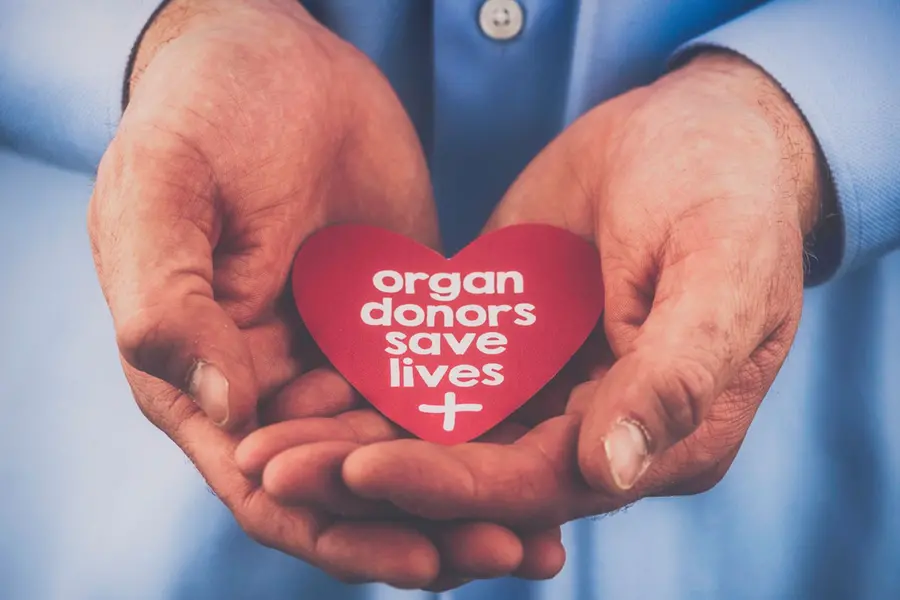 Kerala HC to deliberate further on PIL seeking protection for organ donors and recipients against exploitation