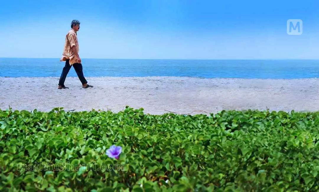 ബാലചന്ദ്രൻ ചുള്ളിക്കാട്