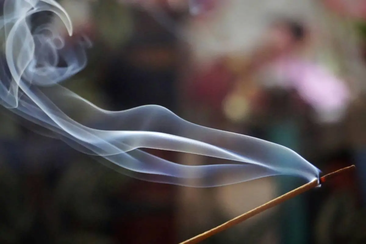 Representative Image| Photo: Canva.com