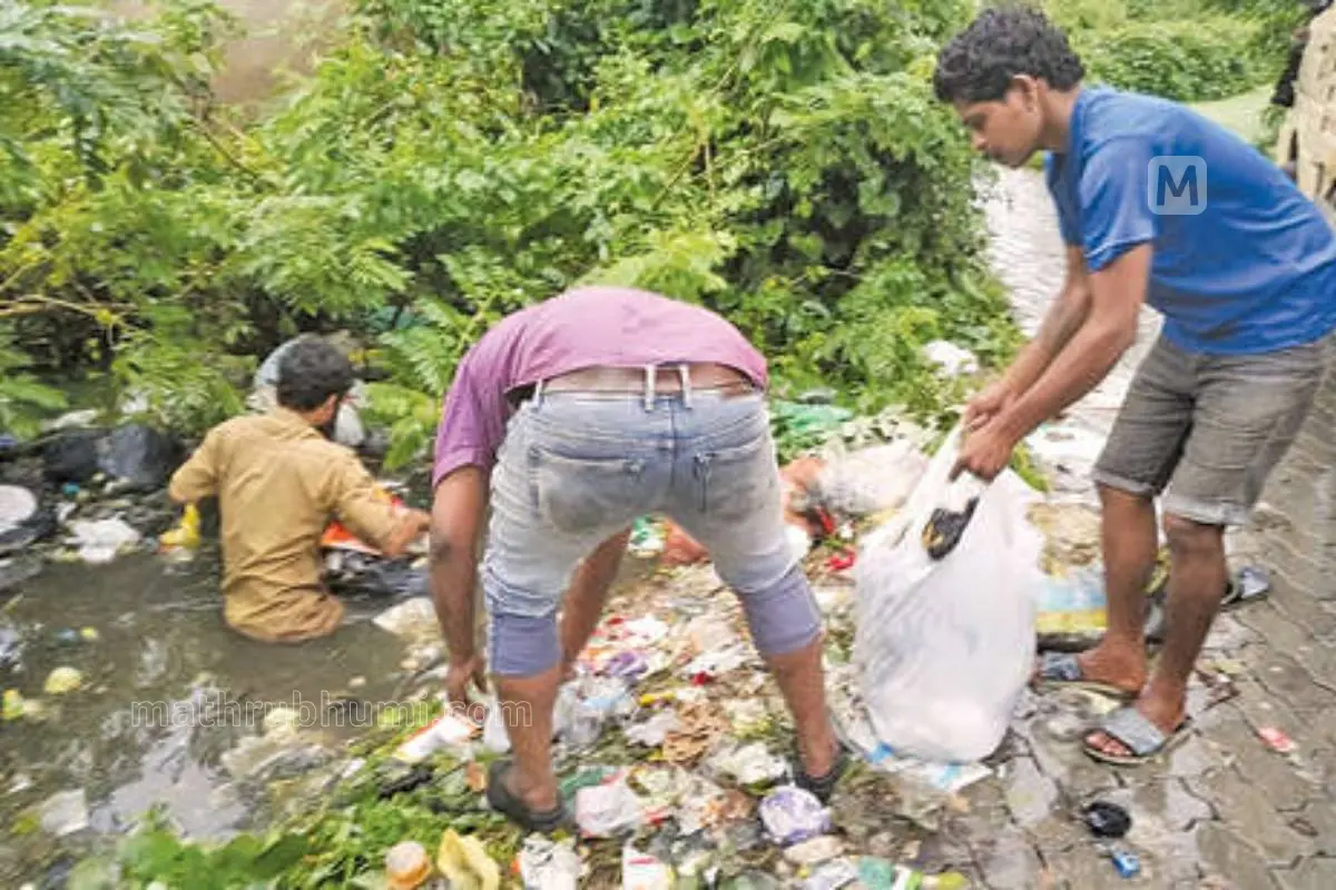 അരൂരിലെ ജലാശയങ്ങളിലടക്കം തള്ളിയ മാലിന്യം ഇത് ചെയ്തവരെക്കൊണ്ടുതന്നെ എടുപ്പിക്കുന്നു