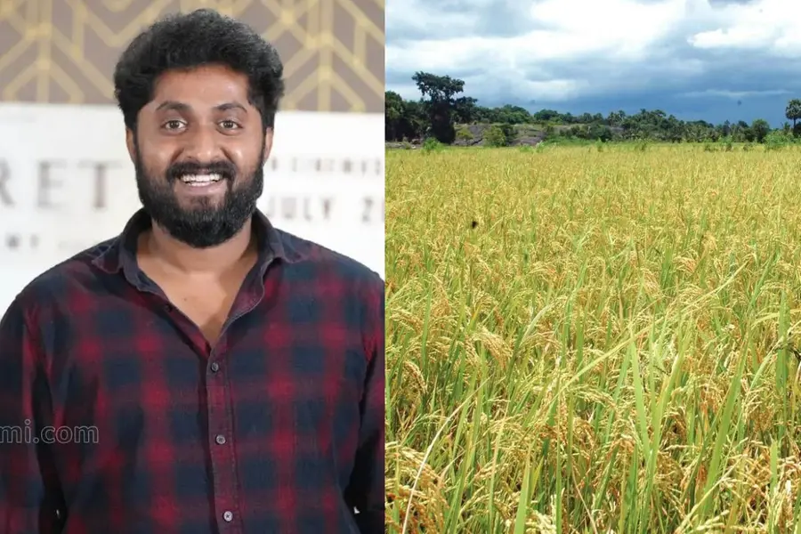 DhyanPaddy