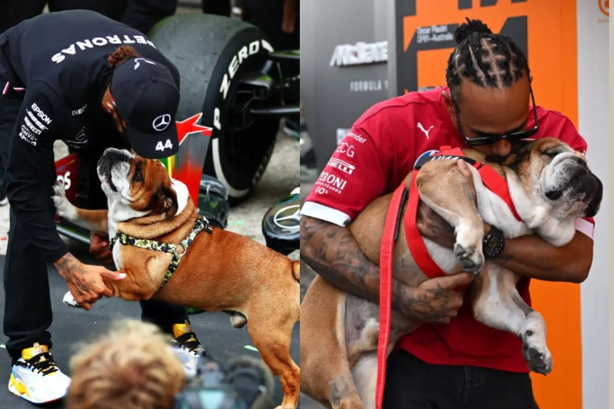 Roscoe Hamilton with Lewis Hamilton (Photo: Instagram)