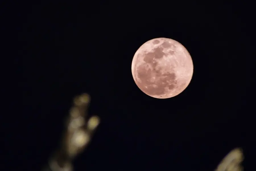 October 2025 celestial events: From super harvest moon to meteor showers; check details, timings