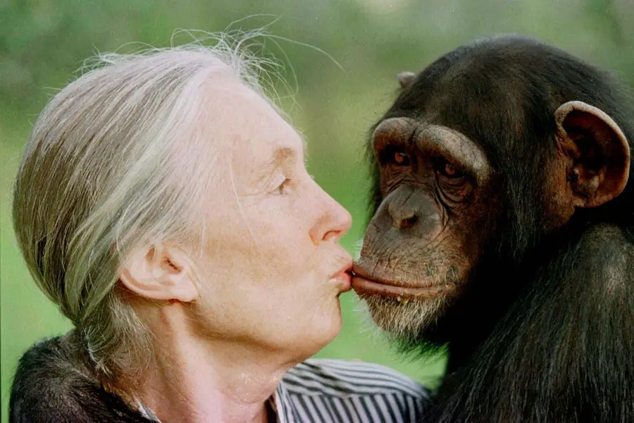 jane-goodall.