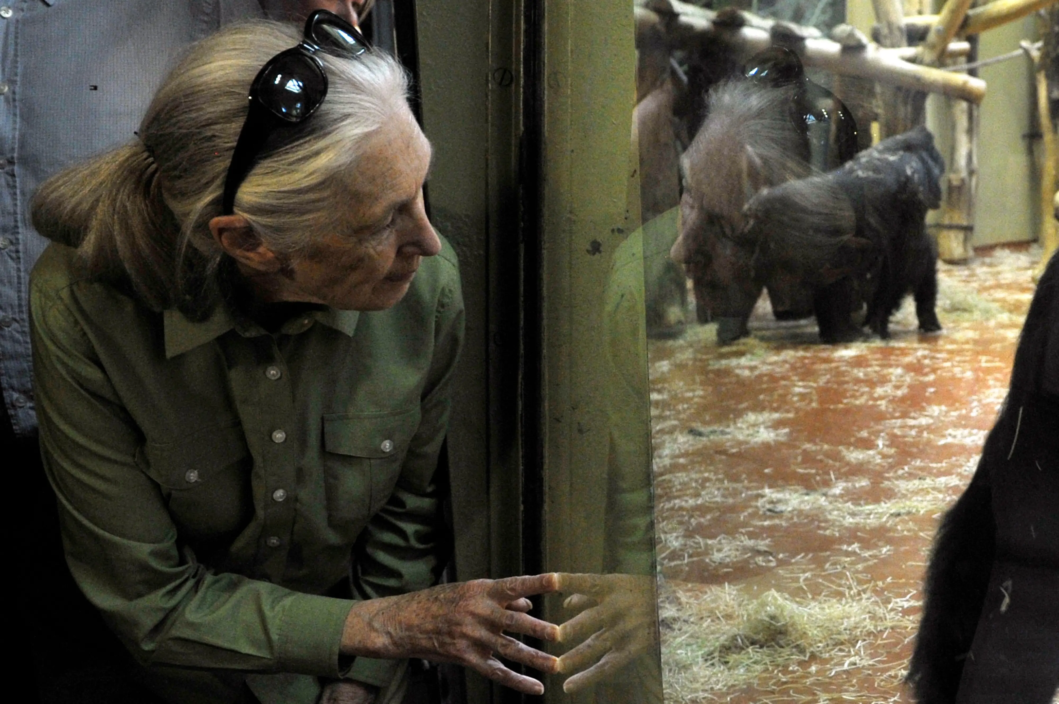 Jane Goodall | MTI via AP File