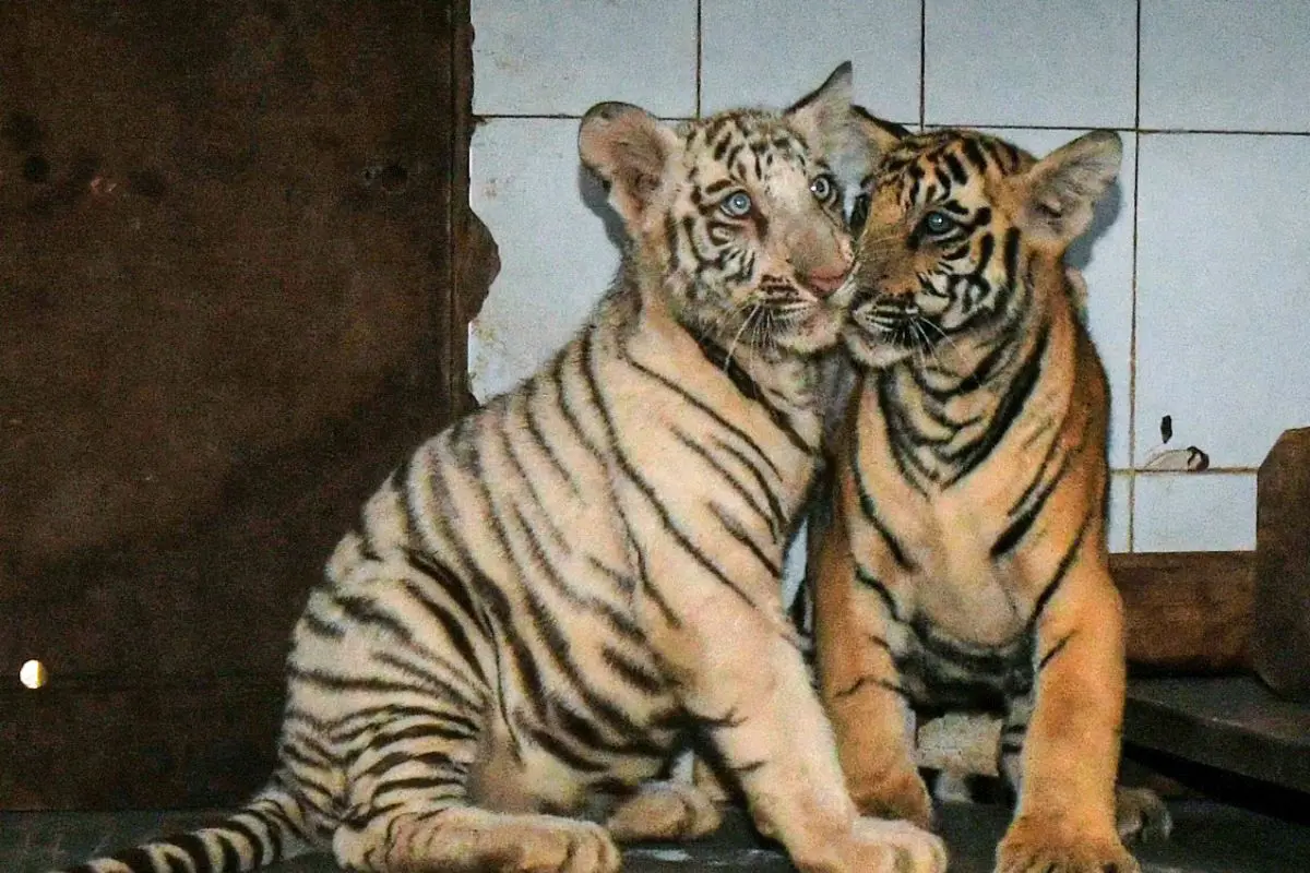 Representational Image | Photo: ANI