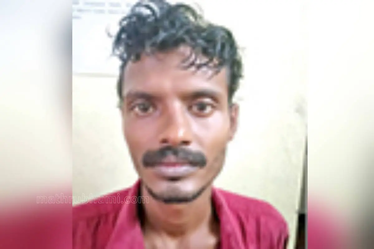 സ്റ്റെജിൻ സ്റ്റാൻലി