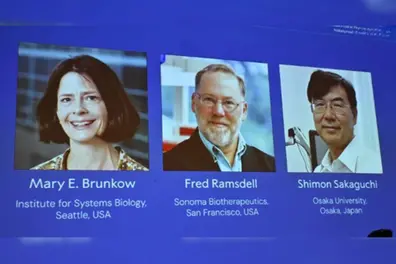 Who are the scientists behind the Nobel-winning immune tolerance discovery?