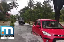 Heavy Rains And Strong Winds Expected From Tomorrow