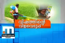 Farmers Use Chemical Pesticides Despite Knowing Its Danger, Say Experts