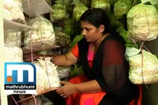 Bindu's Mushroom Cultivation Sets An Example For Homemakers