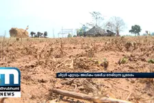 Palakkad Agriculture Affected By Drought