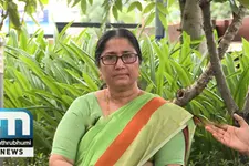 Methods To Prevent Pest Attack In Crops