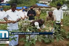 DYFI Workers In Kollam Reap Success In Farming