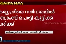 കണ്ണൂരിൽ ബോംബ് പൊട്ടി കുട്ടിക്ക് പരിക്ക്