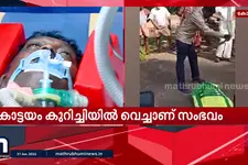 വാവാ സുരേഷിന് മൂർഖന്റെ കടിയേറ്റു; നടുക്കുന്ന ദൃശ്യം