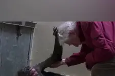 കണ്ണുനനയിക്കും ഈ കാഴ്ച; അവസാനമായി തന്റെ കൂട്ടുകാരനെ കണ്ട് 'മമ്മ'