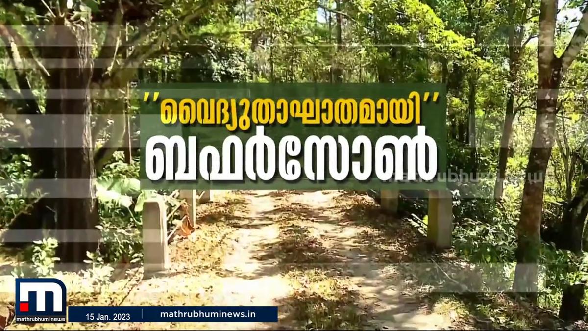 ഏലം കൃഷി ബഫർ സോണിൽ; വൈദ്യുതിയും കാത്ത് സിങ്കരാജ് | Mathrubhumi TV