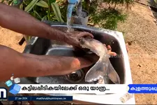 മീൻ പെടയ്ക്കണ കണ്ടാ..അടിപൊളി ഡെസ്റ്റിനേഷനാണ് കട്ടിലപ്പീടിക