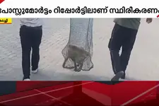 ആലുവയിൽ പത്തുപേരെ കടിച്ച തെരുവുനായയ്ക്ക് പേവിഷബാധ സ്ഥിരീകരിച്ചു
