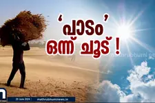 ചുട്ടുപൊള്ളി ഉത്തരേന്ത്യ; ഉഷ്ണതരംഗത്തിൽ നഷ്ടമായത് 110 ജീവനുകൾ; 40000-ത്തോളം പേർക്ക് സൂര്യാതപമേറ്റു
