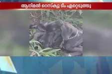 ക്രൂരതയുടെ ചിത്രം..! വളർത്തുനായയെ പുഴുവരിക്കുന്ന നിലയിൽ ഉപേക്ഷിച്ചു