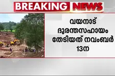 വയനാട് ദുരന്തം; സഹായം തേടി കേരളം റിപ്പോർട്ട് നൽകിയത് നവംബർ 13ന് മാത്രമെന്ന് അമിത് ഷാ