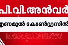 പി വി അൻവർ തൃണമൂൽ കോൺഗ്രസിൽ