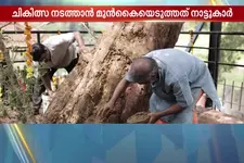 നൂറ്റാണ്ടുകള്‍ പഴക്കമുള്ള കൂവളത്തെ നാട്ടുകാർ കൈവിട്ടില്ല; 21 ഔഷധങ്ങള്‍ ചേർത്ത് ആയുർവേദ ചികിത്സ