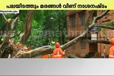 തിരുവനന്തപുരത്ത് ഇന്നലെ പെയ്ത മഴയിൽ കനത്ത നാശനഷ്ടം; അരുവിക്കര ഡാമിന്റെ ഷട്ടറുകൾ തുറക്കും