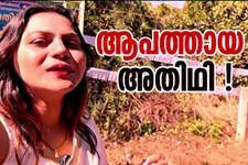 കാശുകൊടുത്ത് വിളിച്ചുവരുത്തിയ 'ആപത്ത്'; ജ്യോതി മൽഹോത്രയുടെ കേരളാ സന്ദർശനവും ചില ചോദ്യങ്ങളും