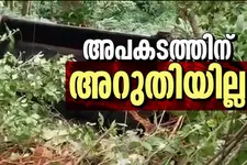 വഴി നീളെ അപകടം, നിരത്തുകളിൽ ചോരപ്പാട്! കാൽനടയാത്രക്കാർക്ക് എന്ത് സുരക്ഷ?