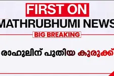 രാഹുലിനെതിരെ പോലീസ് കേസെടുക്കാൻ സാധ്യത; സ്ത്രീകളെ ശല്യം ചെയ്തുവെന്ന വകുപ്പ് ചുമത്തിയേക്കും
