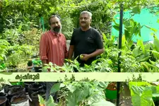 കാന്താരി മുളക് മുതൽ ഡ്രാഗൺ ഫ്രൂട്ട് വരെ ഈ ടെറസിലുണ്ട്..; ഒരു ബോംബ് സ്ക്വാഡ് ഉദ്യോഗസ്ഥന്റെ കൃഷി