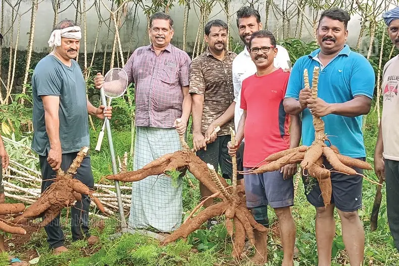 ശരീരം ഫിറ്റ്, വിളകൾ ഹിറ്റ്; ഭൂമി പാട്ടത്തിനെടുത്ത് കൃഷി, ഒരു ഭാഗത്ത് ഷട്ടിൽ കളി
