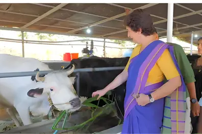 Priyanka Gandhi meets Kerala dairy farmers, highlights sector challenges & seeks solutions