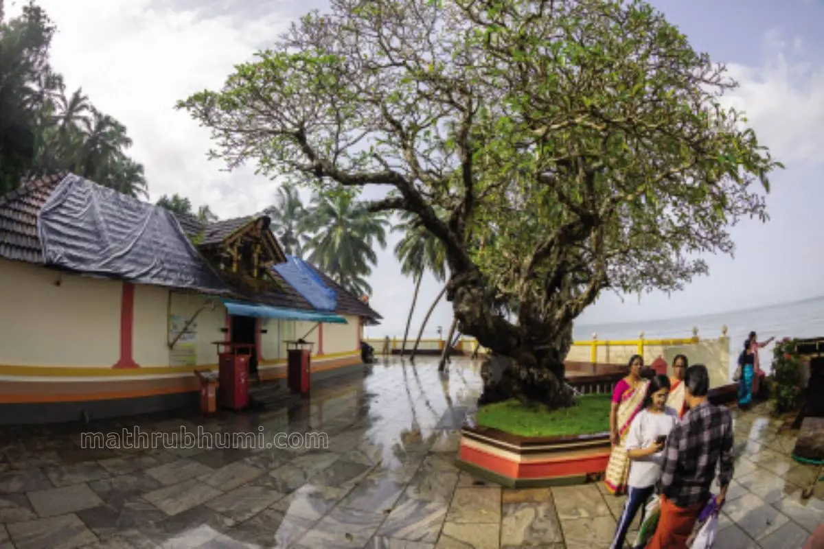 ഉരുപുണ്യകാവ് ശ്രീദുര്‍ഗ്ഗാഭഗവതിക്ഷേത്രം