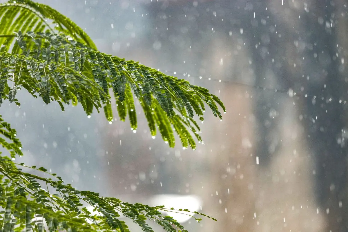 Representational image | Photo: AI generated