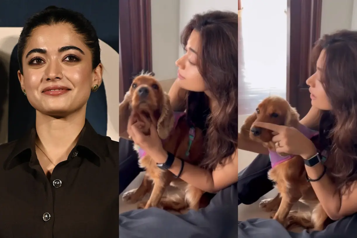 രശ്മികാ മന്ദാന, രശ്മിക പങ്കുവെച്ച വീഡിയോയിലെ ദൃശ്യങ്ങൾ | Photos: AFP, instagram