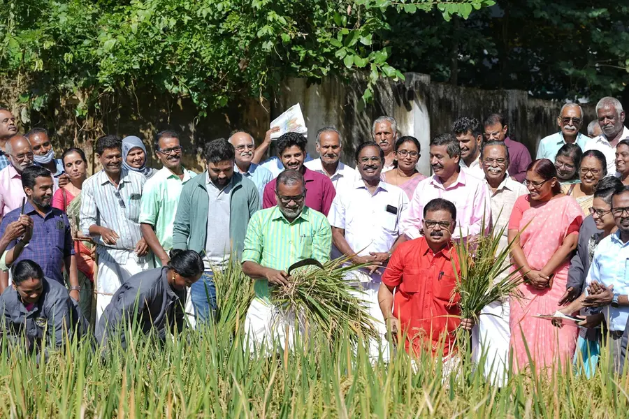 ആലത്തൂർ സീഡ് ഫാമിൽ പ്രകൃതി കൃഷിക്ക് തിളക്കമാർന്ന വിജയം: ഒരു ഏക്കറിൽ 1638 കിലോ വിളവ്