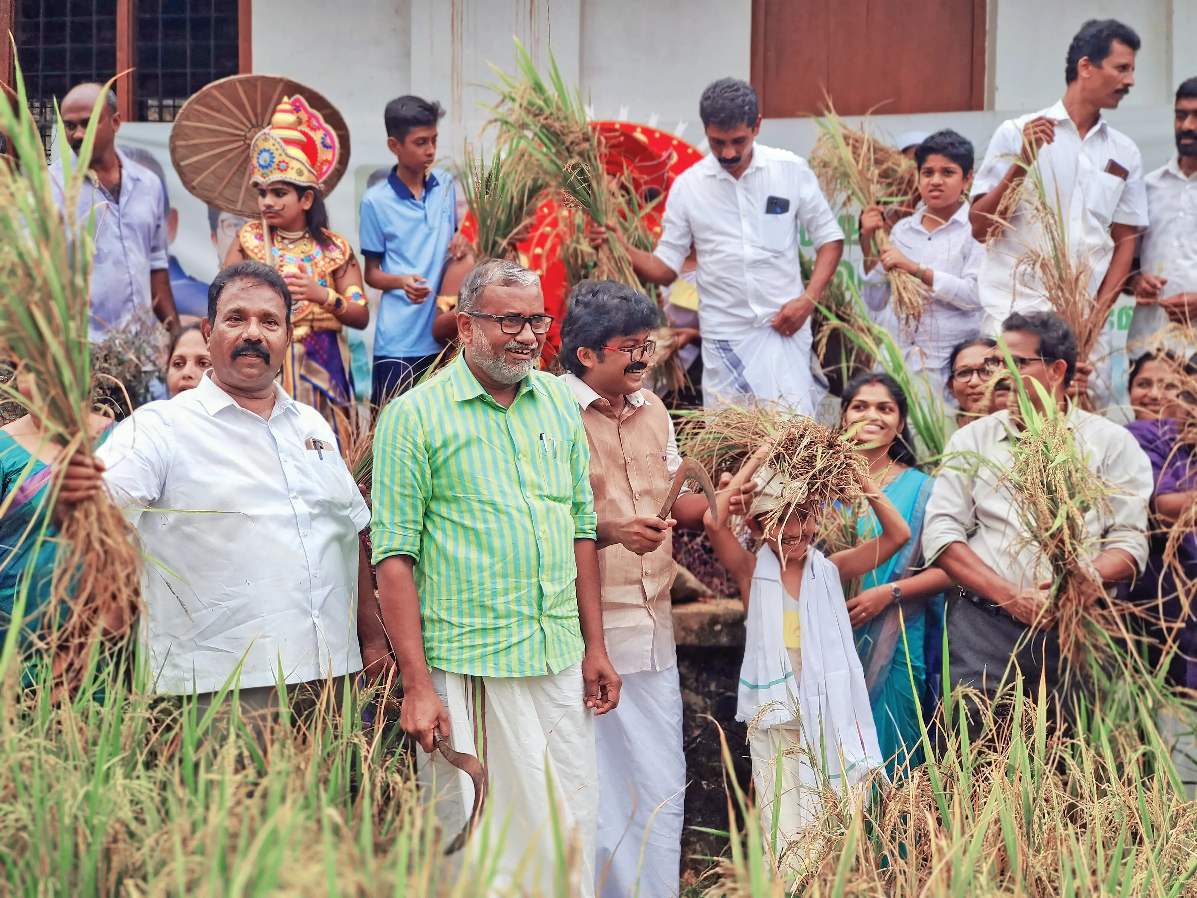 പെരുമ്പാവൂർ നിയോജക മണ്ഡലത്തിൽ നടപ്പാക്കുന്ന നെൽ-കെജി പദ്ധതിയുടെ വിളവെടുപ്പും കുട്ടിക്കർഷകസംഗമവും വേങ്ങൂർ മാർകൗമ സ്കൂളിൽ മന്ത്രി പി. പ്രസാദ് ഉദ്ഘാടനം ചെയ്യുന്നു