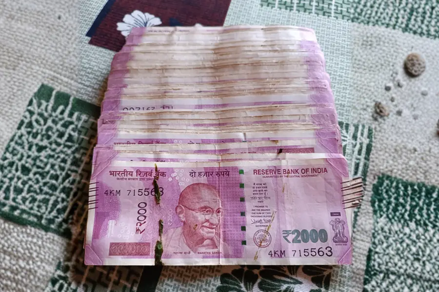 Family Finds Rs 2 Lakh Hidden in Old DTH Box During Diwali 'Safai'